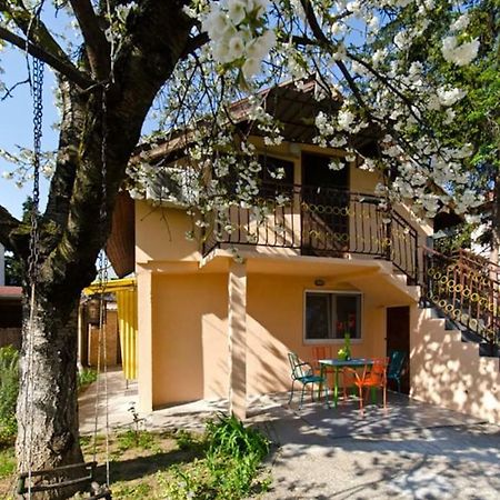 Cherry Tree Art House Belgrade Exterior photo