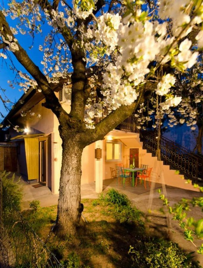 Cherry Tree Art House Belgrade Exterior photo